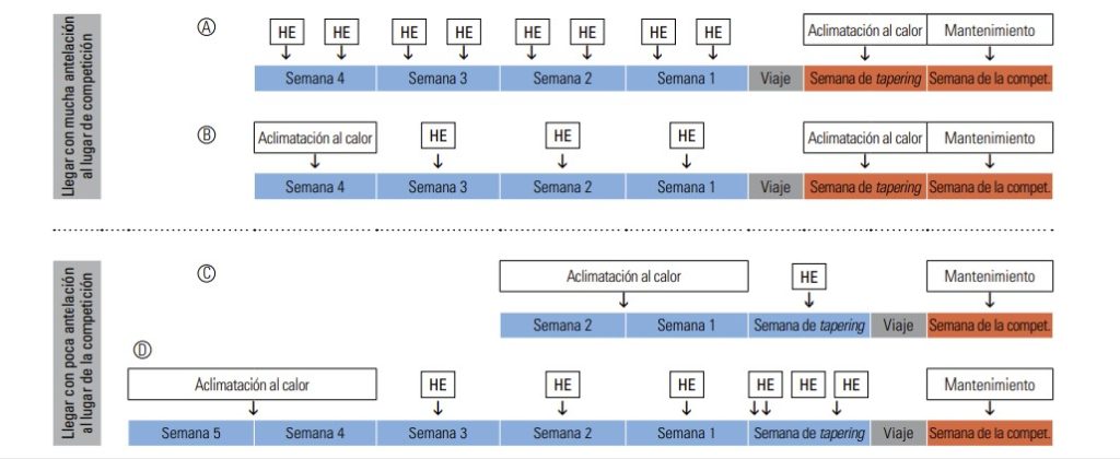 Figura 2. Diferentes tipos de protocolos para adaptación al calor (Heat acclimation cortos y largos), con recordatorios (HE) aplicado a una periodización para una competición objetivo. Adaptado de (Saunders, 2019).